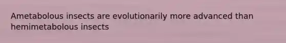 Ametabolous insects are evolutionarily more advanced than hemimetabolous insects