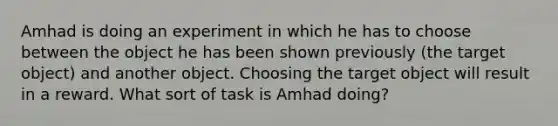 Amhad is doing an experiment in which he has to choose between the object he has been shown previously (the target object) and another object. Choosing the target object will result in a reward. What sort of task is Amhad doing?