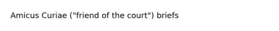 Amicus Curiae ("friend of the court") briefs