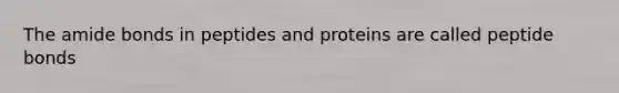 The amide bonds in peptides and proteins are called peptide bonds