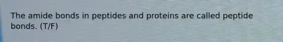 The amide bonds in peptides and proteins are called peptide bonds. (T/F)