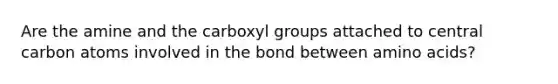 Are the amine and the carboxyl groups attached to central carbon atoms involved in the bond between amino acids?