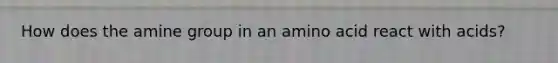 How does the amine group in an amino acid react with acids?