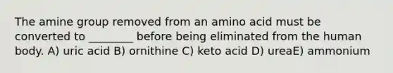 The amine group removed from an amino acid must be converted to ________ before being eliminated from the human body. A) uric acid B) ornithine C) keto acid D) ureaE) ammonium