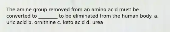 The amine group removed from an amino acid must be converted to ________ to be eliminated from the human body. a. uric acid b. ornithine c. keto acid d. urea