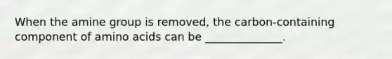 When the amine group is removed, the carbon-containing component of amino acids can be ______________.