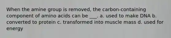 When the amine group is removed, the carbon-containing component of amino acids can be ___. a. used to make DNA b. converted to protein c. transformed into muscle mass d. used for energy