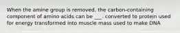 When the amine group is removed, the carbon-containing component of amino acids can be ___. converted to protein used for energy transformed into muscle mass used to make DNA