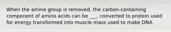 When the amine group is removed, the carbon-containing component of amino acids can be ___. converted to protein used for energy transformed into muscle mass used to make DNA