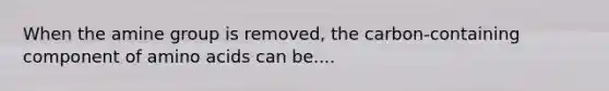 When the amine group is removed, the carbon-containing component of <a href='https://www.questionai.com/knowledge/k9gb720LCl-amino-acids' class='anchor-knowledge'>amino acids</a> can be....