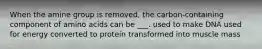 When the amine group is removed, the carbon-containing component of amino acids can be ___. used to make DNA used for energy converted to protein transformed into muscle mass