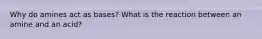 Why do amines act as bases? What is the reaction between an amine and an acid?