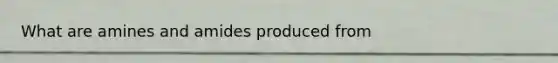 What are amines and amides produced from