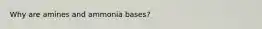 Why are amines and ammonia bases?