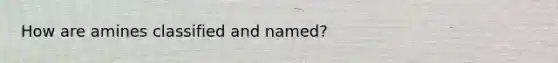 How are amines classified and named?