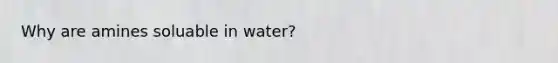 Why are amines soluable in water?