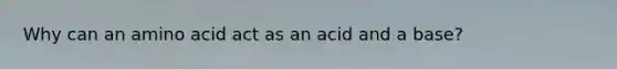 Why can an amino acid act as an acid and a base?