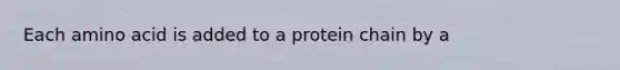 Each amino acid is added to a protein chain by a