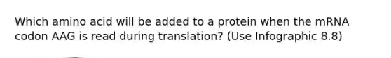 Which amino acid will be added to a protein when the mRNA codon AAG is read during translation? (Use Infographic 8.8)
