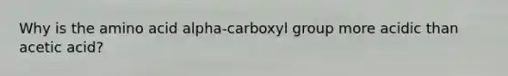 Why is the amino acid alpha-carboxyl group more acidic than acetic acid?