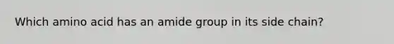 Which amino acid has an amide group in its side chain?