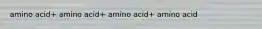 amino acid+ amino acid+ amino acid+ amino acid