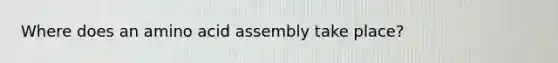 Where does an amino acid assembly take place?