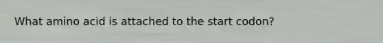 What amino acid is attached to the start codon?