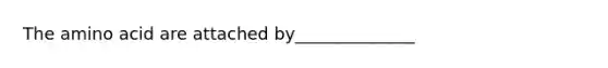 The amino acid are attached by______________