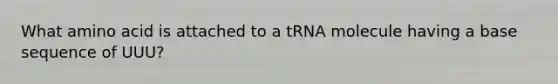 What amino acid is attached to a tRNA molecule having a base sequence of UUU?