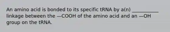 An amino acid is bonded to its specific tRNA by a(n) ___________ linkage between the —COOH of the amino acid and an —OH group on the tRNA.