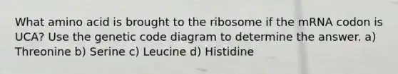 What amino acid is brought to the ribosome if the mRNA codon is UCA? Use the genetic code diagram to determine the answer. a) Threonine b) Serine c) Leucine d) Histidine