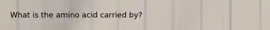 What is the amino acid carried by?