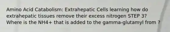 Amino Acid Catabolism: Extrahepatic Cells learning how do extrahepatic tissues remove their excess nitrogen STEP 3? Where is the NH4+ that is added to the gamma-glutamyl from ?