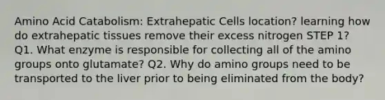 Amino Acid Catabolism: Extrahepatic Cells location? learning how do extrahepatic tissues remove their excess nitrogen STEP 1? Q1. What enzyme is responsible for collecting all of the amino groups onto glutamate? Q2. Why do amino groups need to be transported to the liver prior to being eliminated from the body?