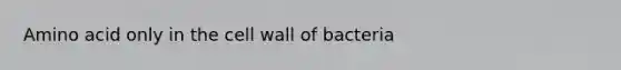 Amino acid only in the cell wall of bacteria