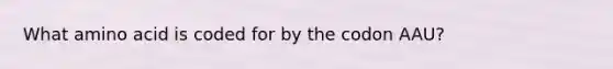 What amino acid is coded for by the codon AAU?