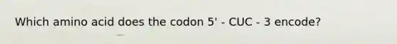 Which amino acid does the codon 5' - CUC - 3 encode?