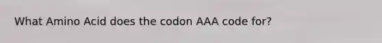 What Amino Acid does the codon AAA code for?