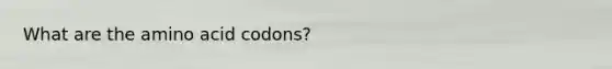 What are the amino acid codons?