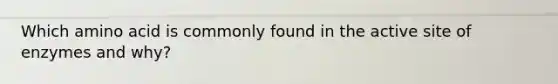 Which amino acid is commonly found in the active site of enzymes and why?