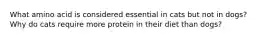 What amino acid is considered essential in cats but not in dogs? Why do cats require more protein in their diet than dogs?