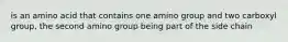 is an amino acid that contains one amino group and two carboxyl group, the second amino group being part of the side chain