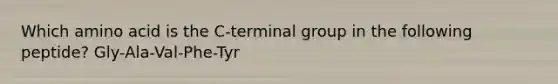 Which amino acid is the C-terminal group in the following peptide? Gly-Ala-Val-Phe-Tyr