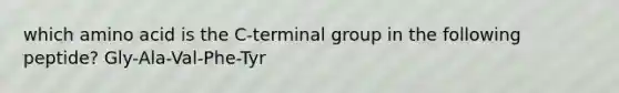 which amino acid is the C-terminal group in the following peptide? Gly-Ala-Val-Phe-Tyr