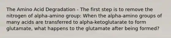 The Amino Acid Degradation - The first step is to remove the nitrogen of alpha-amino group: When the alpha-amino groups of many acids are transferred to alpha-ketoglutarate to form glutamate, what happens to the glutamate after being formed?