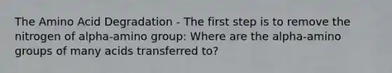 The Amino Acid Degradation - The first step is to remove the nitrogen of alpha-amino group: Where are the alpha-amino groups of many acids transferred to?