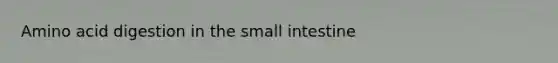Amino acid digestion in the small intestine