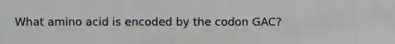 What amino acid is encoded by the codon GAC?