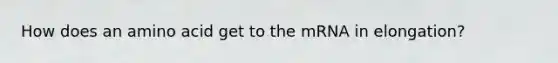 How does an amino acid get to the mRNA in elongation?